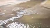 Foto ilustrativa de la nota titulada: Video: vecinos de Luján reclaman obras urgentes por inundaciones crónicas en Castro Barros y Vieytes