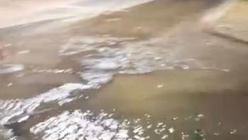 Video: vecinos de Luján reclaman obras urgentes por inundaciones crónicas en Castro Barros y Vieytes