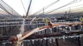 Foto ilustrativa de la nota titulada: Declararon emergencia agropecuaria en 13 departamentos de Mendoza 