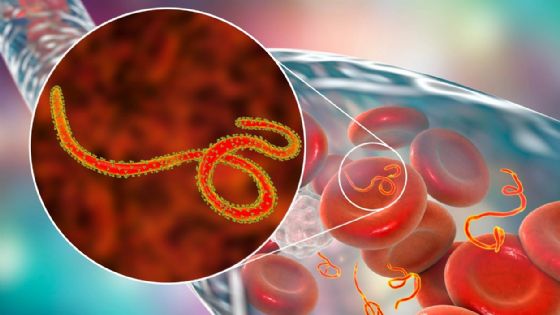 Activan protocolos por ébola en Argentina por embarcaciones provenientes de zonas de riesgo 