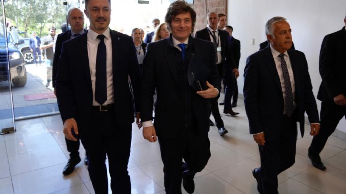 Milei perdió 10 puntos en Mendoza, la mayor demanda es el empleo y Petri es el candidato de mayor potencialidad