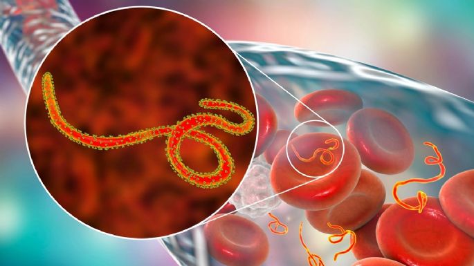 Activan protocolos por ébola en Argentina por embarcaciones provenientes de zonas de riesgo 