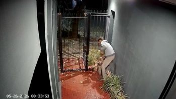 Video: vecinos en alerta por una ola de "roba macetas"