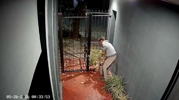 Video: vecinos en alerta por una ola de "roba macetas"
