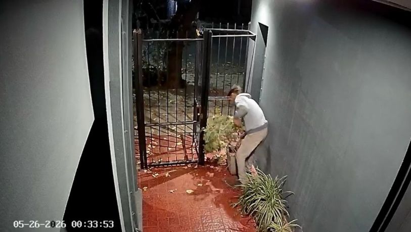Video: vecinos en alerta por una ola de "roba macetas"