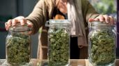 Foto ilustrativa de la nota titulada: La izquierda presentó un proyecto para legalizar el uso de la marihuana