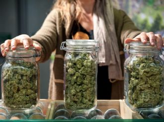 La izquierda presentó un proyecto para legalizar el uso de la marihuana