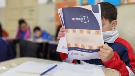 Aprender 2025: la primaria alcanzó los mejores resultados en Lengua de la última década
