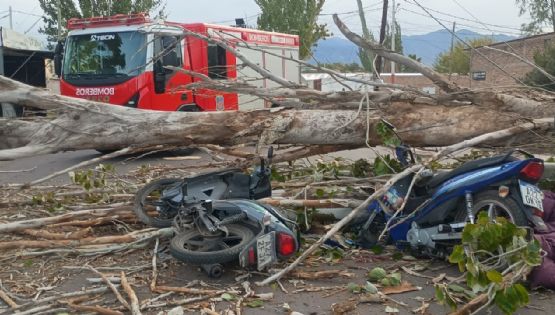 Un motociclista murió aplastado por un árbol en Las Heras y otro resultó herido 