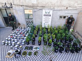 Cayó una organización dedicada al tráfico de personas y armas que operaba entre Mendoza y Chile