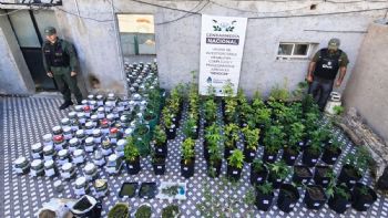 Cayó una organización dedicada al tráfico de personas y armas que operaba entre Mendoza y Chile