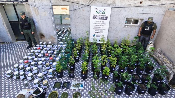 Cayó una organización dedicada al tráfico de personas y armas que operaba entre Mendoza y Chile