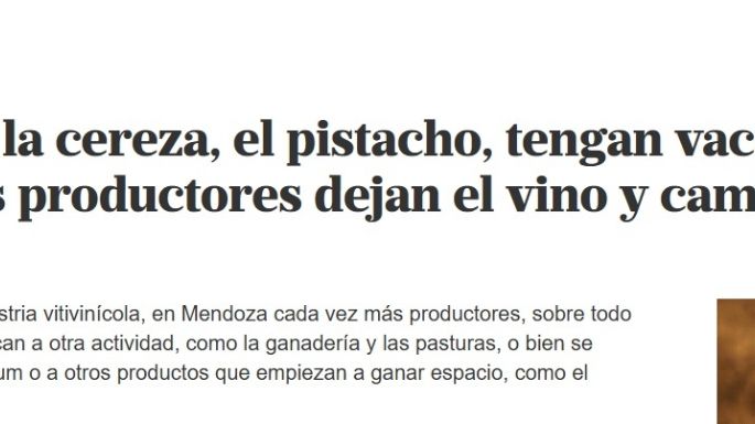 Mendoza, el spa del oeste y la década soñada