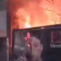 Foco de peligro en pleno centro: un terreno baldío genera alarma entre los vecinos de la calle Chile