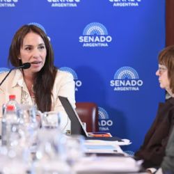 Bullrich se desmarcó otra vez de Milei y no quiere votar en contra de la postulación de Michelli