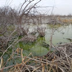 Nuevos problemas para Aysam por el vuelco de efluentes en un descampado