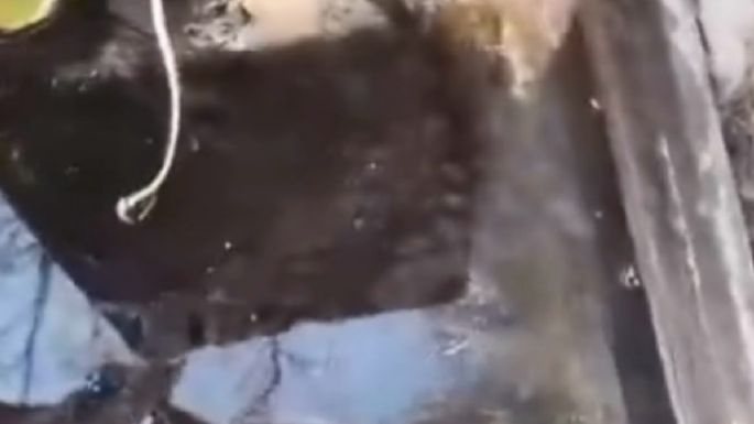 Video: cuatro reclamos y una pérdida de agua que nadie soluciona en Luján de Cuyo