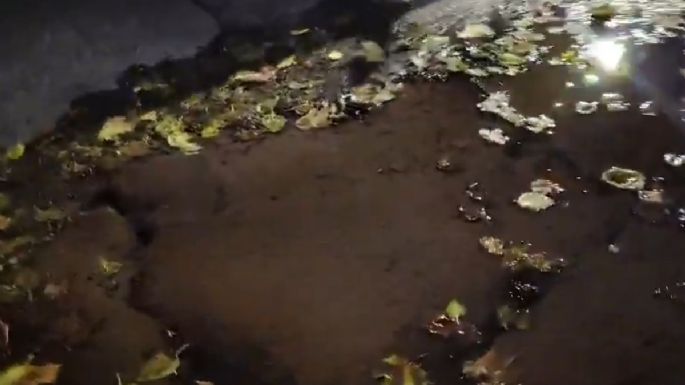 Preocupa una importante pérdida de agua en Ciudad