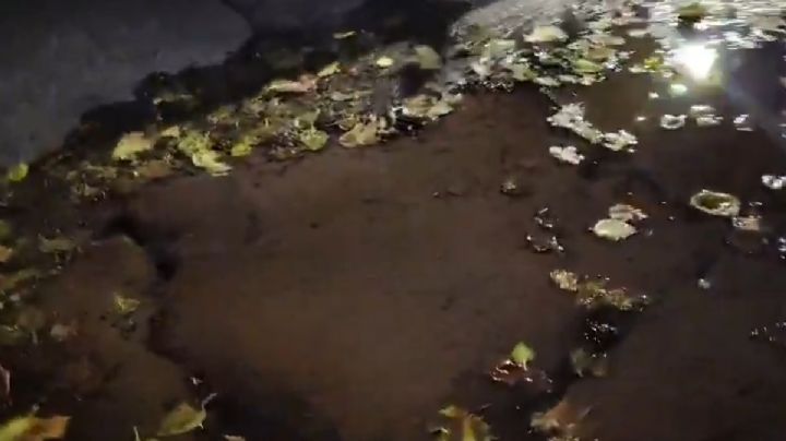 Preocupa una importante pérdida de agua en Ciudad