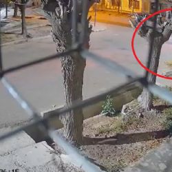 Video: tras un accidente en Guaymallén, vecinos piden reductores de velocidad