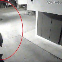 Inseguridad en Godoy Cruz: un delincuente fue filmado trepando en un complejo de departamentos