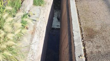 Vecinos de Maipú reclaman porque llevan tres semanas con líquidos cloacales en las acequias