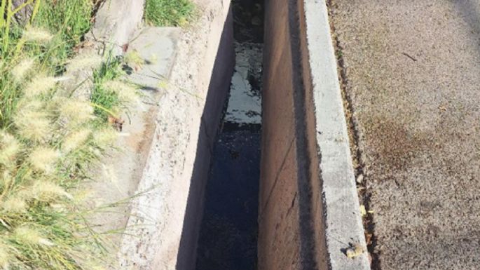 Vecinos de Maipú reclaman porque llevan tres semanas con líquidos cloacales en las acequias
