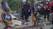 Foto ilustrativa de la nota titulada: Bart, un perro del Ejercito Argentino rescató a dos niños en Venezuela