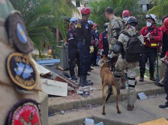 Bart, un perro del Ejercito Argentino rescató a dos niños en Venezuela