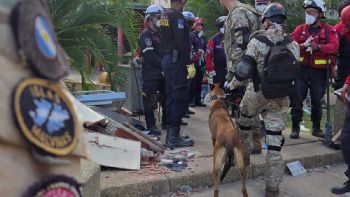 Bart, un perro del Ejercito Argentino rescató a dos niños en Venezuela