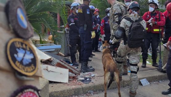 Bart, un perro del Ejercito Argentino rescató a dos niños en Venezuela