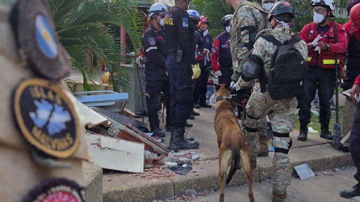 Bart, un perro del Ejercito Argentino rescató a dos niños en Venezuela