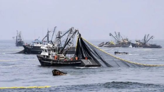 Pesca ilegal: flotas extranjeras extraen hasta 3 millones de toneladas en aguas argentinas