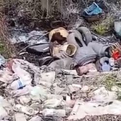 Alerta en Tunuyán: una ONG denunció un "desastre socioambiental"