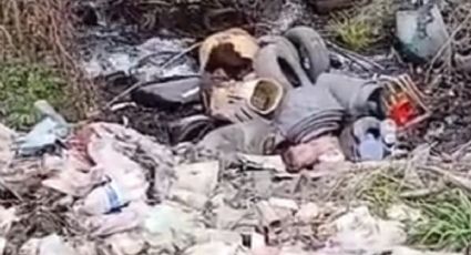 Alerta en Tunuyán: una ONG denunció un "desastre socioambiental"