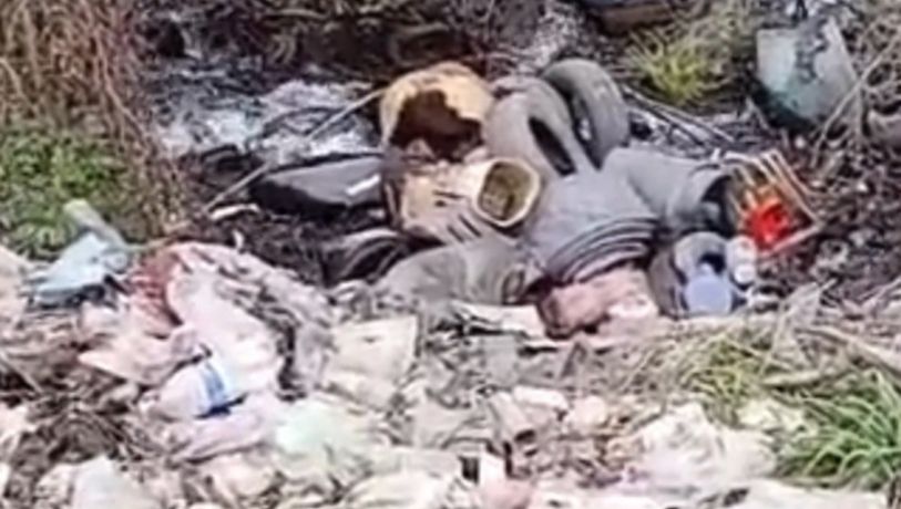Alerta en Tunuyán: una ONG denunció un "desastre socioambiental"
