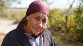 Foto ilustrativa de la nota titulada: Caso Loan Peña: la abuela del niños apuntó contra su hija Laudelina