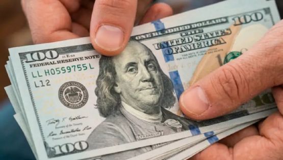 El dólar oficial frenó las subas luego de cinco jornadas
