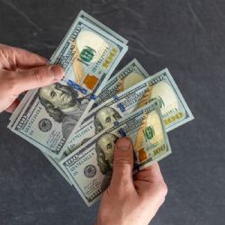 El dólar oficial operó estable en la primera jornada de la semana 