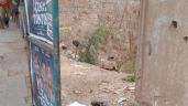 Foto ilustrativa de la nota titulada: Inseguridad: vecinos de Ciudad reclaman el cierre de un baldío