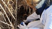 Foto ilustrativa de la nota titulada: Afirman que los derrames cloacales en Corralitos generaron contaminación en Lavalle