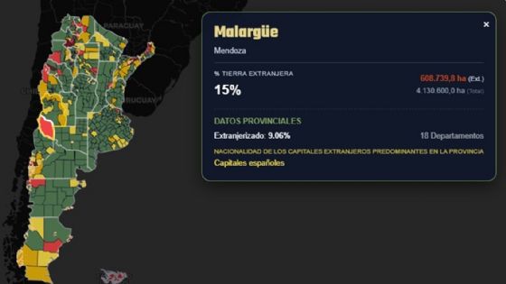 Científicos del Conicet diseñaron un mapa que muestra la extranjerización de tierras en Argentina 