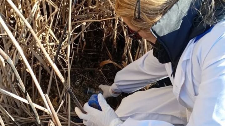 Afirman que los derrames cloacales en Corralitos generaron contaminación en Lavalle