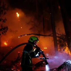 Incendios forestales: hay más de 300.000 evacuados en Francia y España 