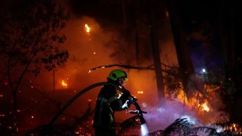 Incendios forestales: hay más de 300.000 evacuados en Francia y España 