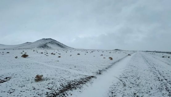 Rescataron a 14 empleado mineros que había varados por el temporal de nieve en Catamarca 