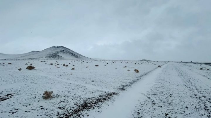 Rescataron a 14 empleado mineros que había varados por el temporal de nieve en Catamarca 