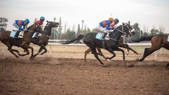 Hipódromo de Mendoza: trabajadores analizan iniciar acciones judiciales ante un eventual cierre