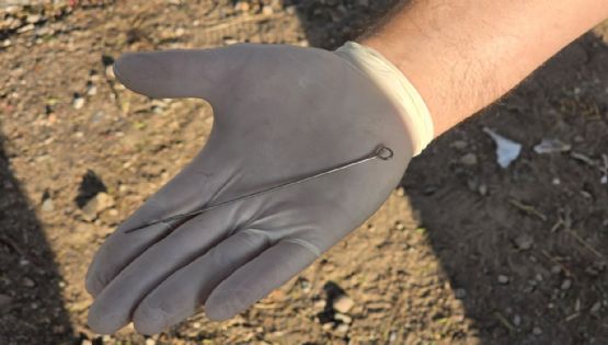 Indignación en Las Heras: encontraron desechos patológicos en la basura 