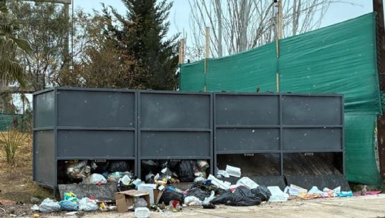 Vecinos denuncian acumulación crónica de basura sobre la calle Terrada